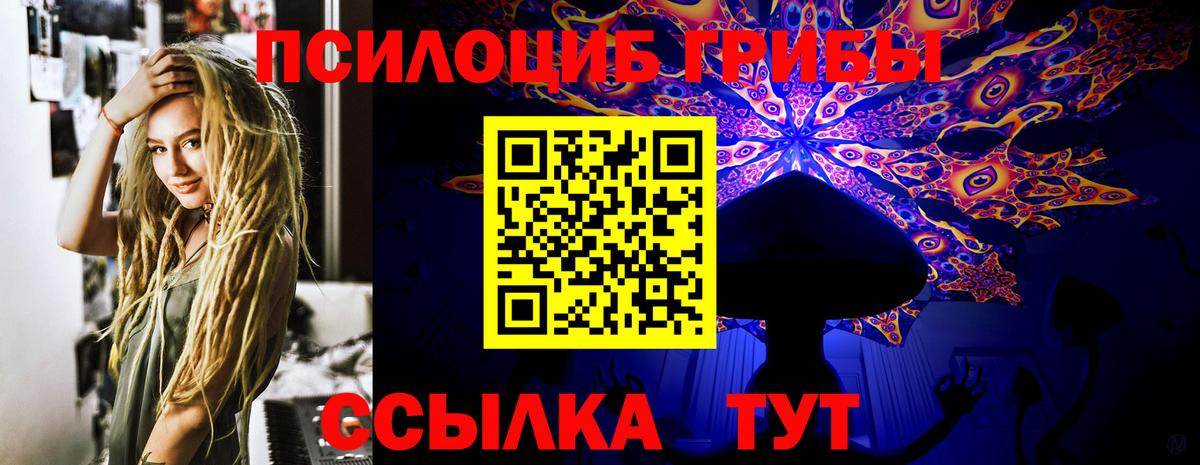 где купить наркоту  Псилоцибиновые грибы Magic Shrooms  Вход с VPN  Славянск-на-Кубани 