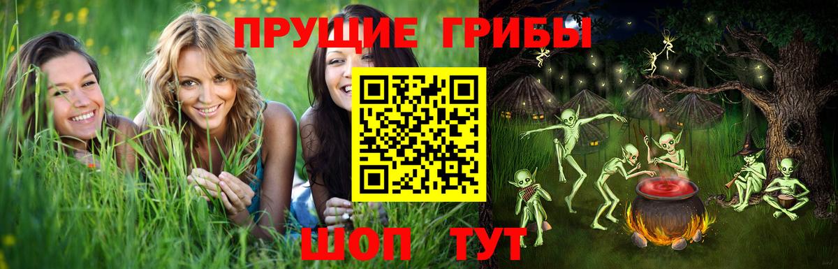 Псилоцибиновые грибы Psilocybine cubensis Славянск-на-Кубани